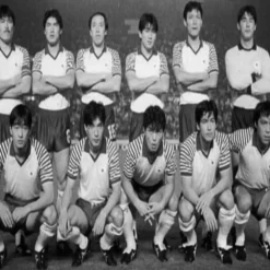 Japon 1987 - 88 Maillot de Foot Rétro
